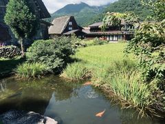 -白川乡与五箇山的合掌构造村落