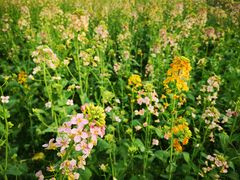 -中国天府农业博览园