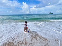 -西涌国际滨海旅游区