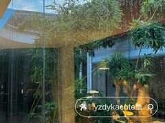 -曲廊院(东四十一条店)