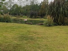 -夏河溪乡野公园