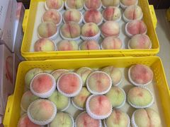 -老袁家蜜桃农场·阳山水蜜桃