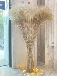 -上海漾颜医疗美容