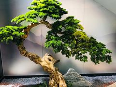 -潮发潮汕牛肉店(永庆坊店)