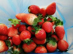 -会江钓鱼钓虾烧烤场