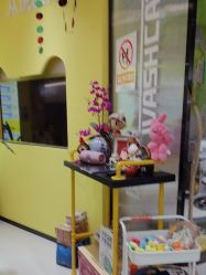 -洗脸猫·洗脸吧(北京大兴大悦春风里店)