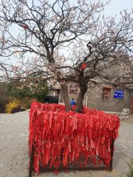 -谛融婚礼酒店·宴会厅(花园店)