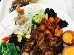 -虹桥机场国航贵宾室v8