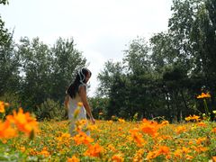 -清真-戏楼王记牛肉面