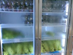 -雾与山茶(大禹城店)