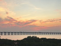 -宝安西湾红树林湿地公园