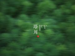 -塔川景区