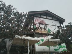 -桃源山庄·水蜜桃采摘·柴火鸡·烧烤团建(龙泉山店)