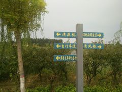 -千年枣林游览区