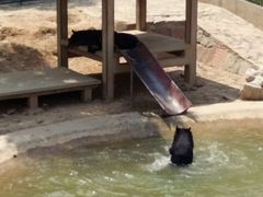 -石家庄市动物园