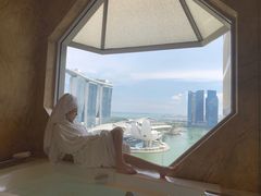 -新加坡丽思卡尔顿美年酒店