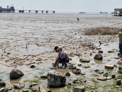 -平湖九龙山旅游度假区