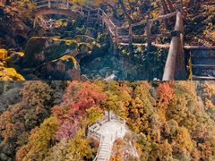-西安祥峪森林公园
