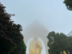 -庐山风景名胜区-东林大佛