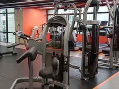 -健身专家Wellness Experts