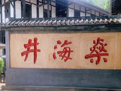 -燊海井