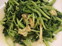 -冶春茶社(官园桥店)