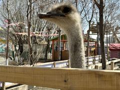 -水上乐园·欢乐世界