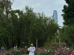 -人民公园(罗湖区)