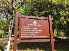 -美丽洲堂