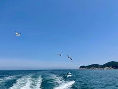 -刘公岛景区