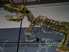 -香港科学馆