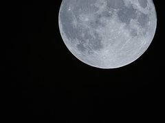 -春花秋色城市公园