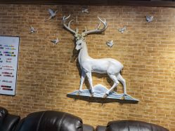 -尤米一站式美甲美睫