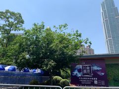 -印象莫奈时光映迹艺术展