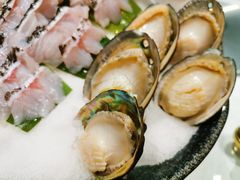 大连鲍鱼10头-最品火锅