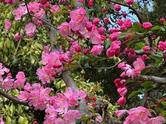 -梁鸿国家湿地公园