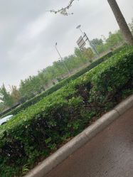 -HEYAN长风荷妍专业脱毛美肤
