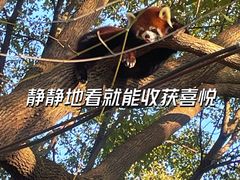 -常州淹城野生动物世界