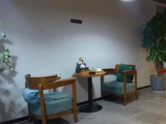 -梵猫·新养生(湛江鼎盛店)