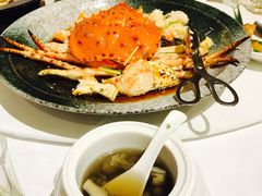 -西郊5号·Maggie 5