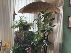 -Thai Basil罗勒叶泰式餐厅(时代天街店)