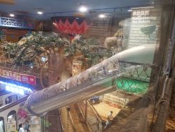 点击看大图 -卡通尼·Safari非洲探索乐园·生日会(金桥国际商业广场店)