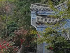 -塔云山