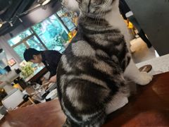 -咖法森林·咖啡  酒吧(天河店)