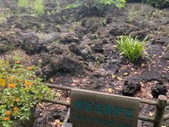-海口火山口国家地质公园