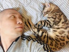 -达爱动物医院·犬猫分区·CT·复杂眼科(远洋山水分院)
