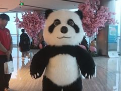 -南昌双子塔303观光厅