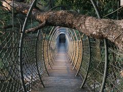 -海南热带雨林国家公园吊罗山景区