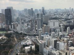 -东京塔海贼王主题公园