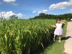 -迪茵湖田家舍生态农场